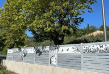 photo-proche-virtuose-papillon-2