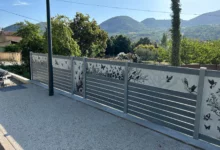 photo-proche-virtuose-papillon