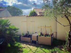 Carré potager