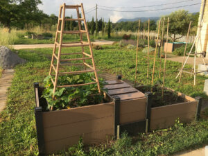 Carré potager composite beige modulable pour des plantations de tomates