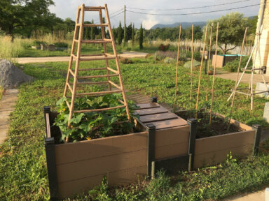 Carré potager composite beige modulable pour des plantations de tomates