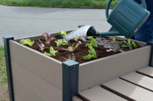 Carré potager composite pour récolter de bons légumes facilement et soi-même