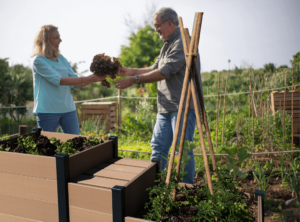 Carré potager composite pour récolter de bons légumes facilement et soi-même
