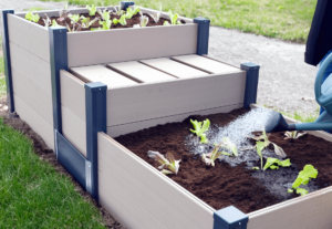 Carré potager composite avec composteur avec plantation de salades