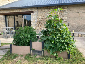 Carré potager composite avec composteur tuteurs pour tomates