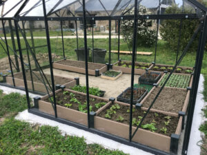Plusieurs carrés potager pour récolter ses légumes dans une serre pour une production rapide