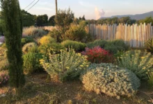 Clôture design Abysse dans un jardin méditerranéen foisonnant, avec massifs colorés