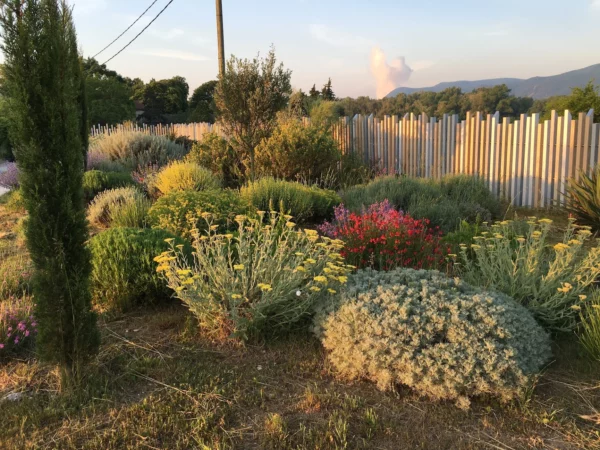 Clôture design Abysse dans un jardin méditerranéen foisonnant, avec massifs colorés