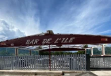 cloture-pvc-ajouree-gris-coupe-droite-avec-portail-adonis