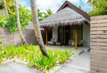 cloture-pvc-brise-vue-bois-installee-terrasse-chloris-pleine