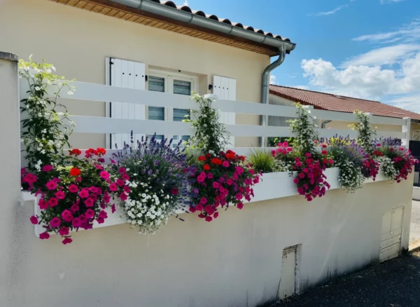 Clôture ajourée blanche installée devant une maison avec des jardinières de fleurs