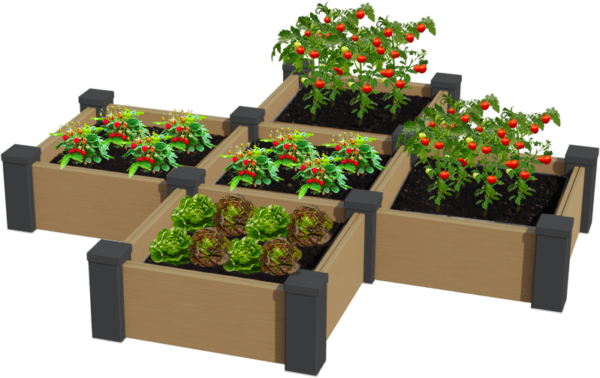 Mini carré potager 50x50 modulable en composite beige en forme de croix idéal pour les petits espaces extérieurs