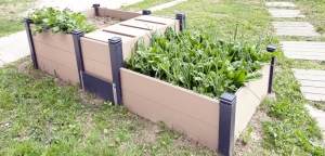 Mon potager carré