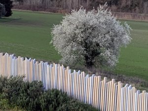 Clôture Ulysse patchwork dans champ avec un arbre