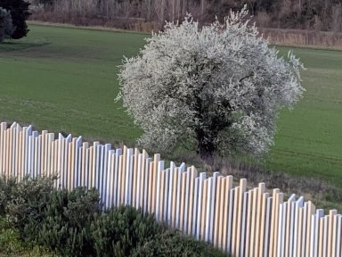 Clôture Ulysse patchwork dans champ avec un arbre