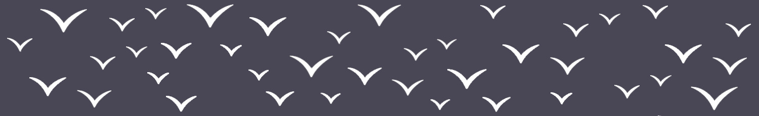 Oiseaux - Gris anthracite