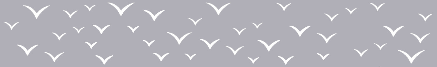 Oiseaux - Gris clair