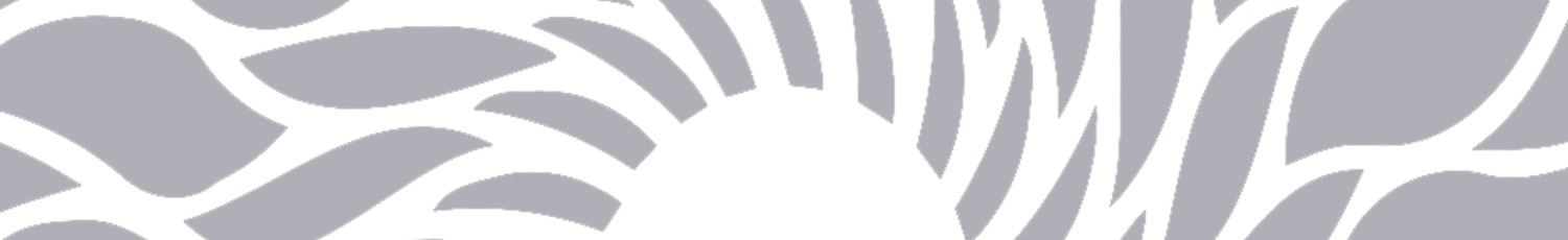 Soleil 1 - Gris clair