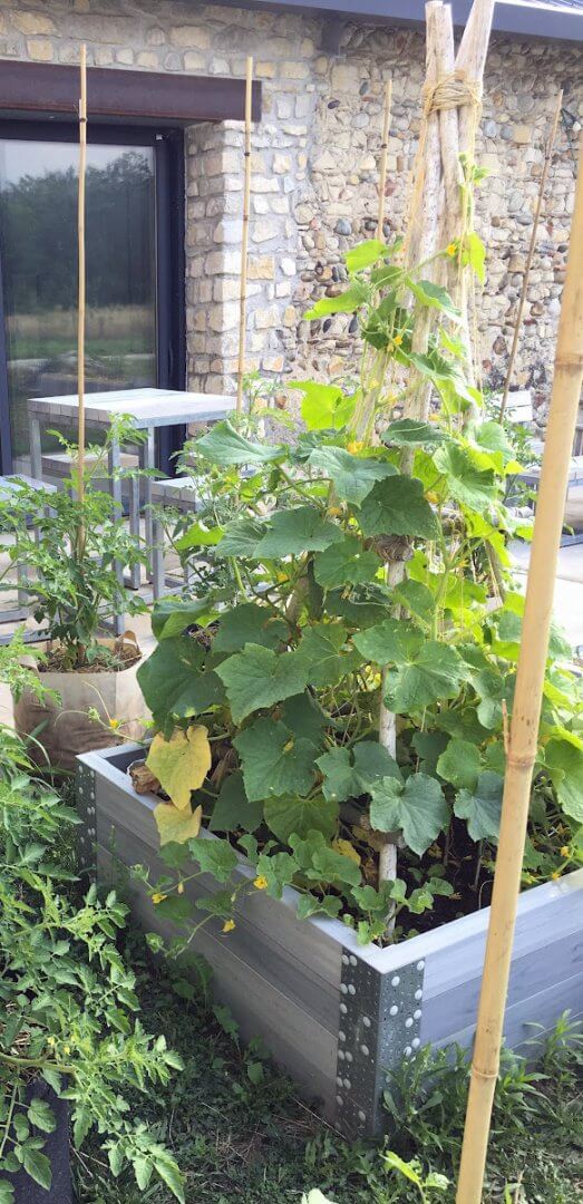 Carré potager gris cérusé avec tour à concombres