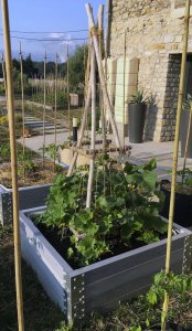 Carré potager en PVC recyclé pour aménagement extérieur et jardinage