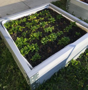 Carré potager gris en plastique recyclé écologique - Jardin Couvert