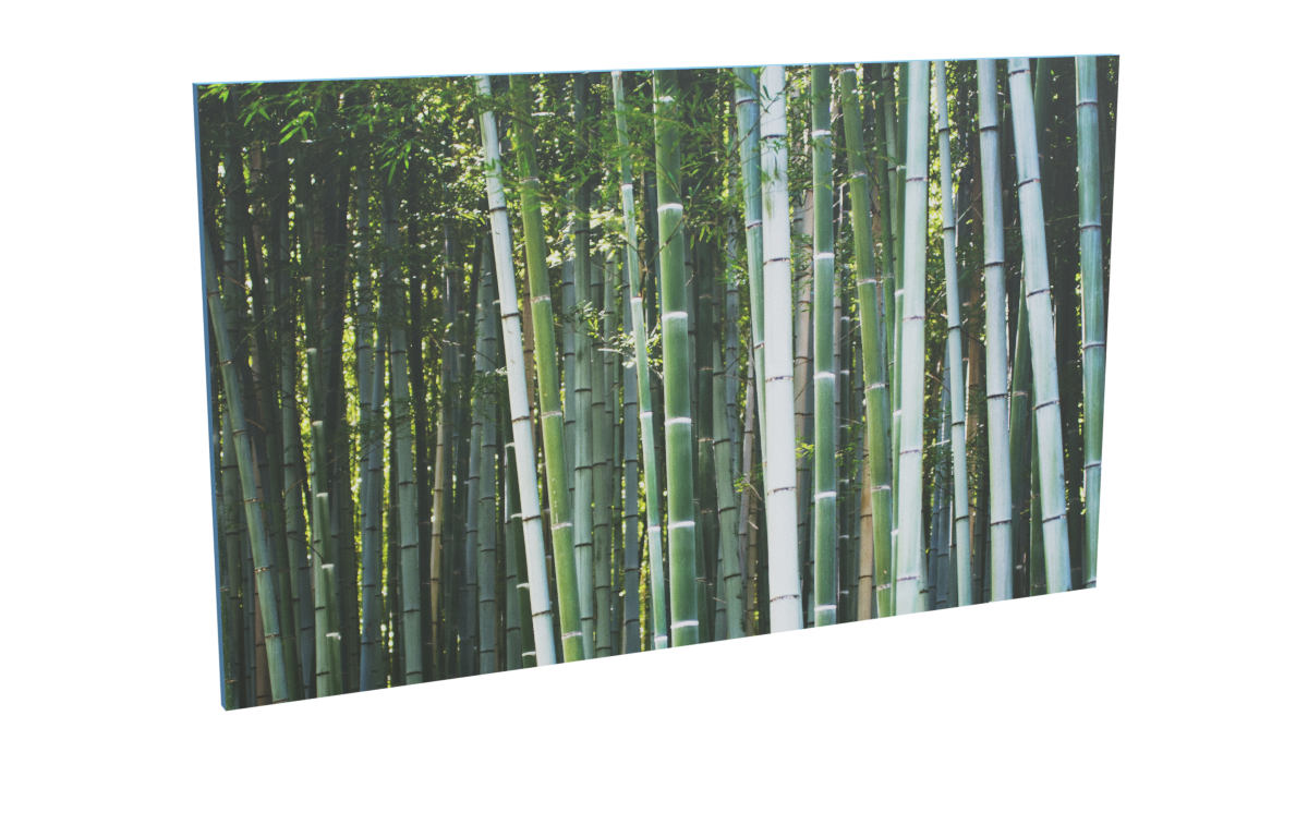 Impression bambou_bambou_1 pour le modèle Virtuose