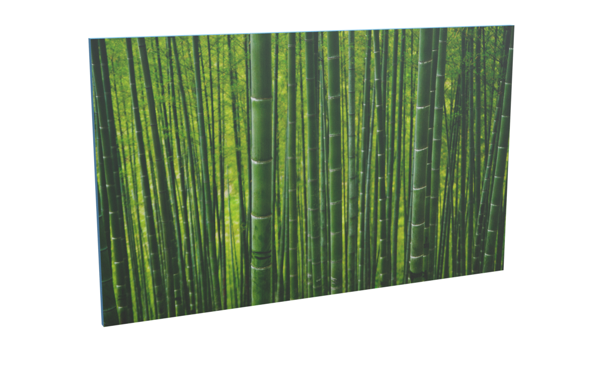 Impression bambou_bambou_5 pour le modèle Virtuose