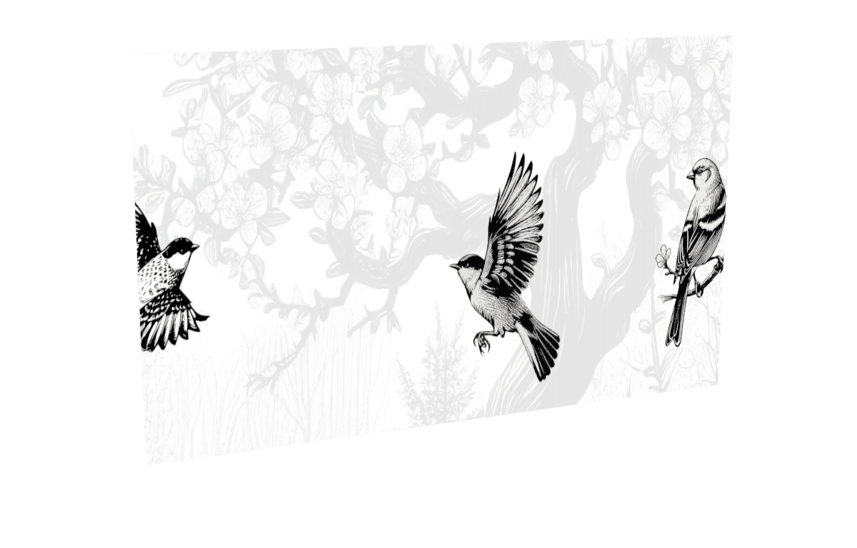 Impression oiseaux-3 pour le modèle Virtuose