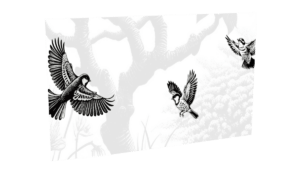Impression oiseaux-4 pour le modèle Virtuose