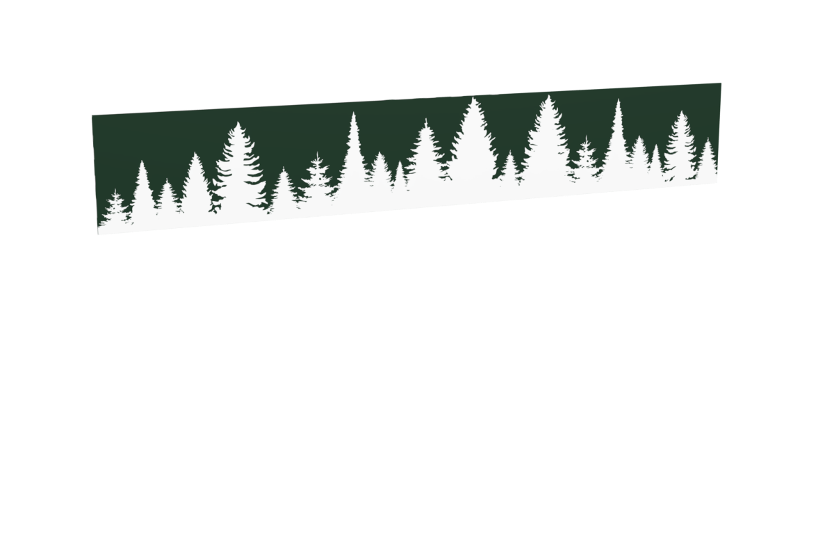 Impression foret_pins_vert pour le modèle Héraclès