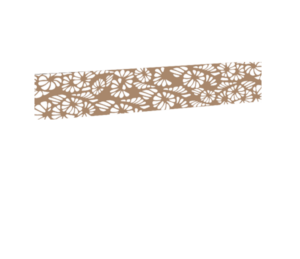 Impression eclat_fleurs_4_taupe pour le modèle Braga