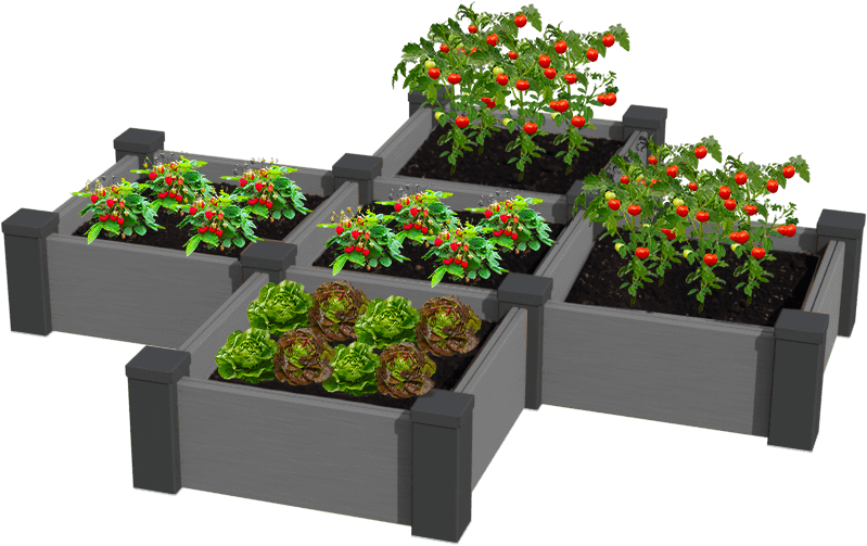 Mini² potager en croix